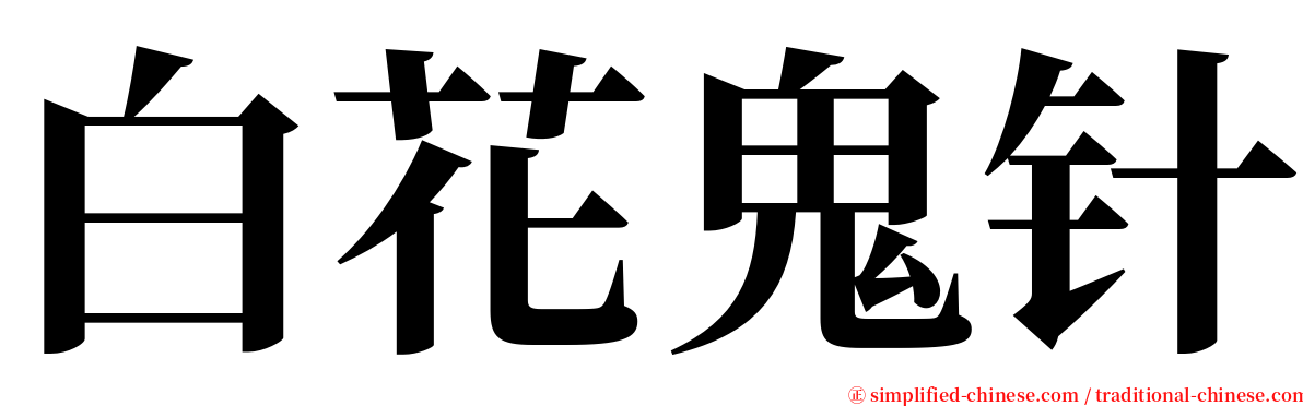 白花鬼针 serif font