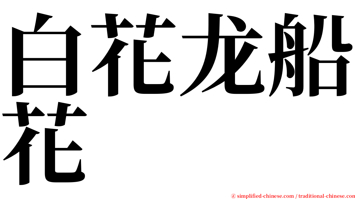 白花龙船花 serif font