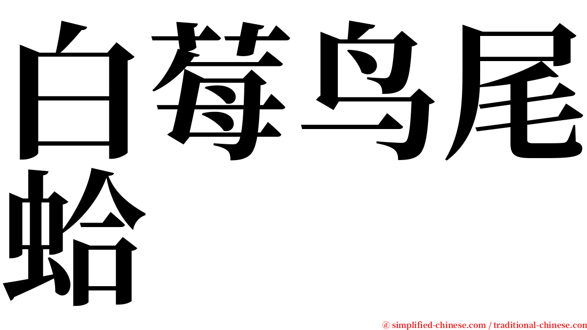 白莓鸟尾蛤 serif font