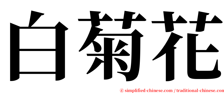 白菊花 serif font