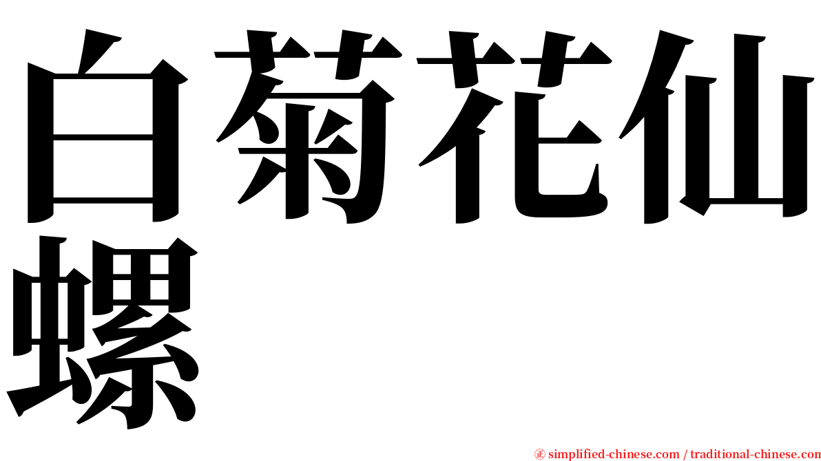 白菊花仙螺 serif font