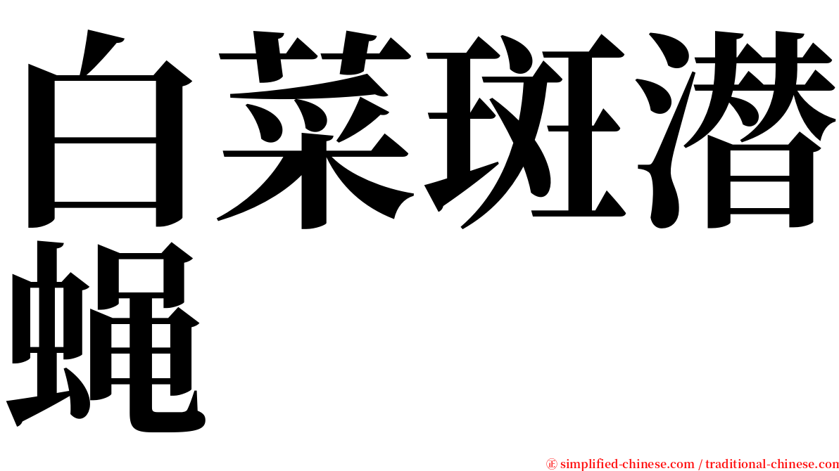 白菜斑潜蝇 serif font