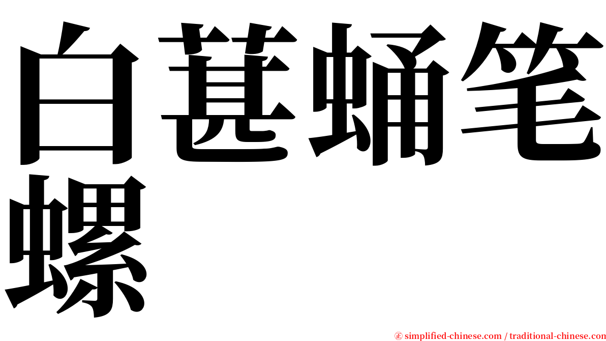 白葚蛹笔螺 serif font