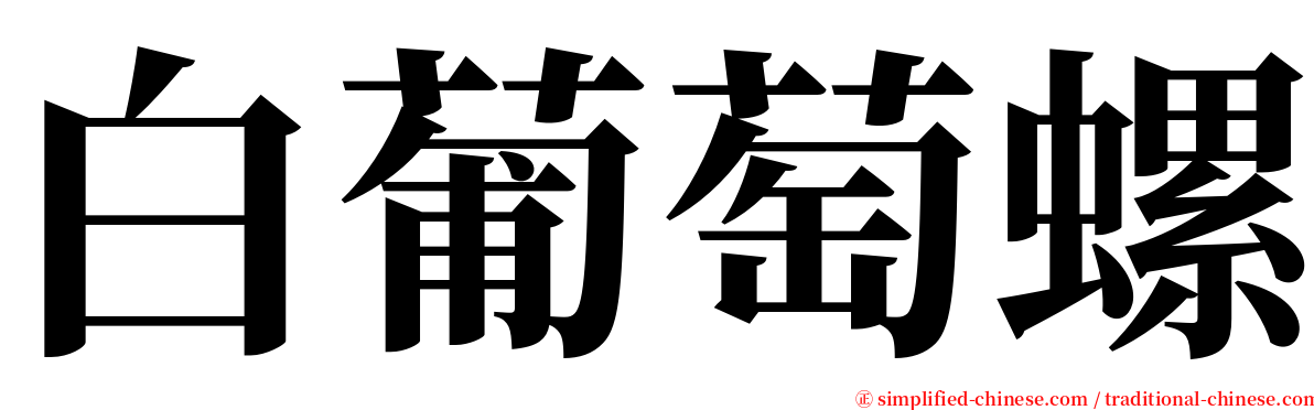 白葡萄螺 serif font