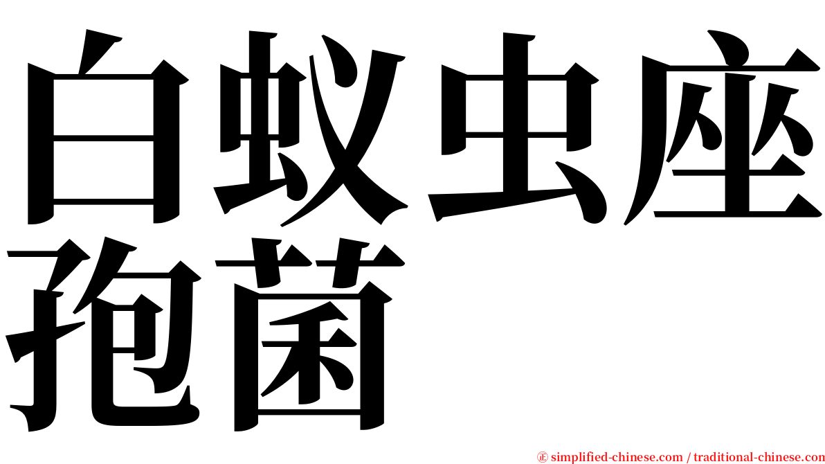 白蚁虫座孢菌 serif font