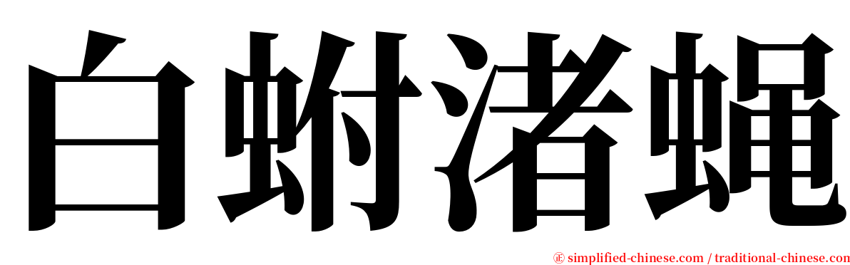 白蚹渚蝇 serif font