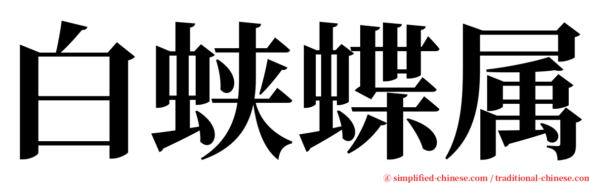 白蛱蝶属 serif font