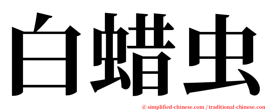 白蜡虫 serif font