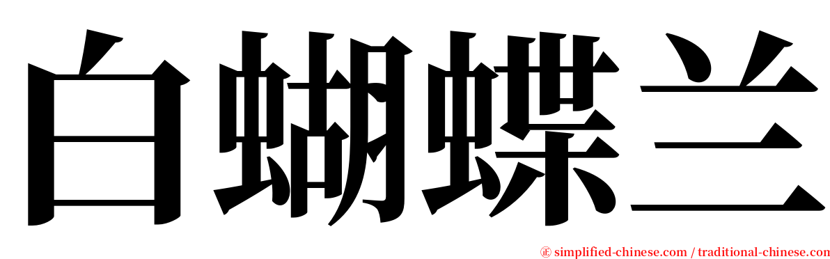 白蝴蝶兰 serif font