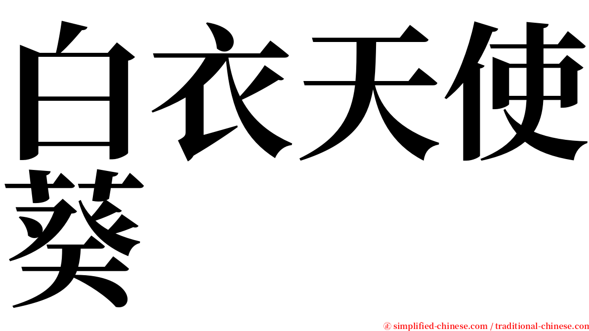 白衣天使葵 serif font