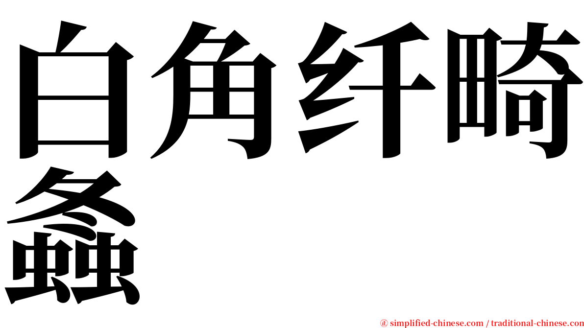 白角纤畸螽 serif font