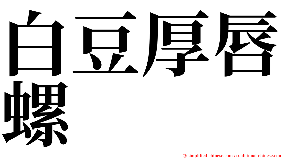 白豆厚唇螺 serif font