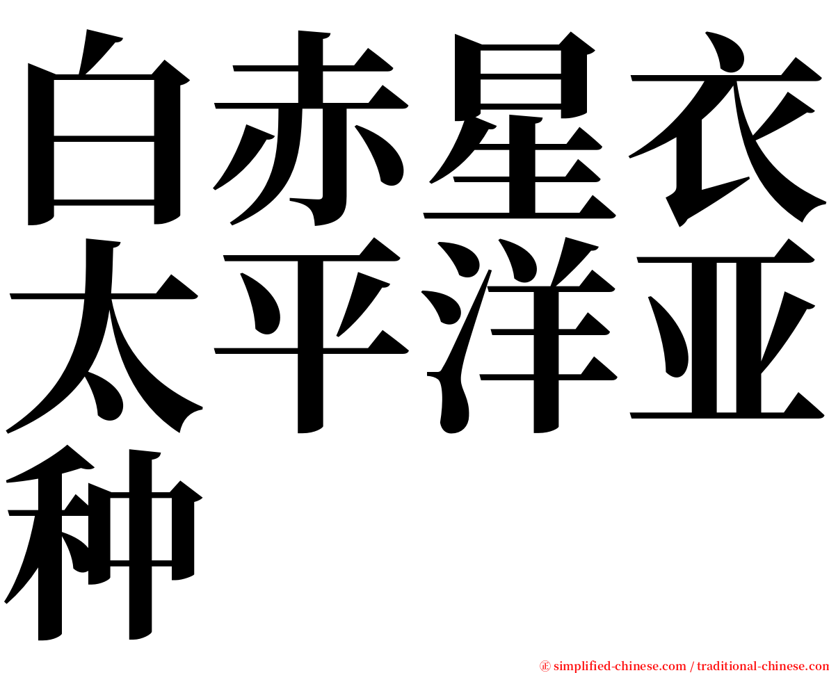 白赤星衣太平洋亚种 serif font