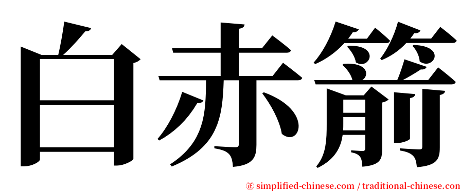 白赤箭 serif font