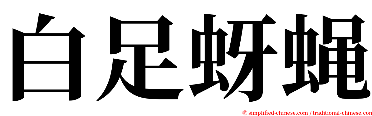 白足蚜蝇 serif font