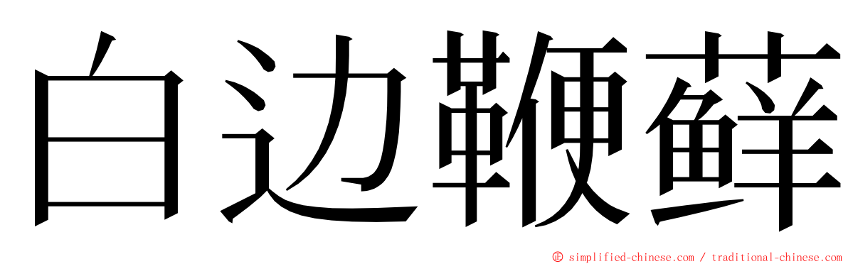 白边鞭藓 ming font