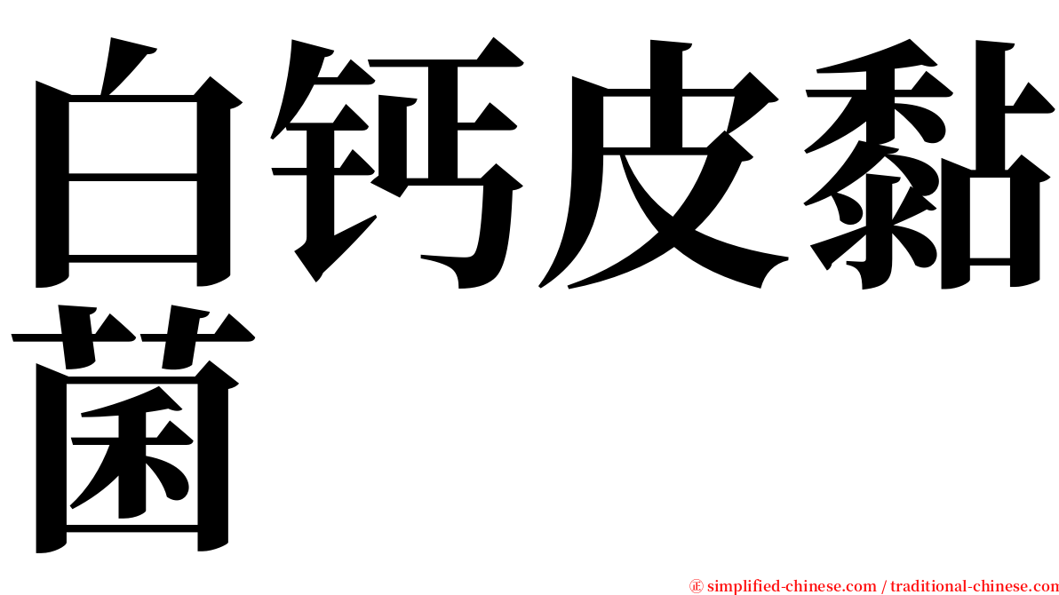 白钙皮黏菌 serif font