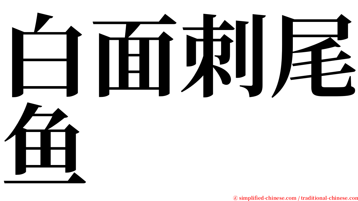 白面刺尾鱼 serif font