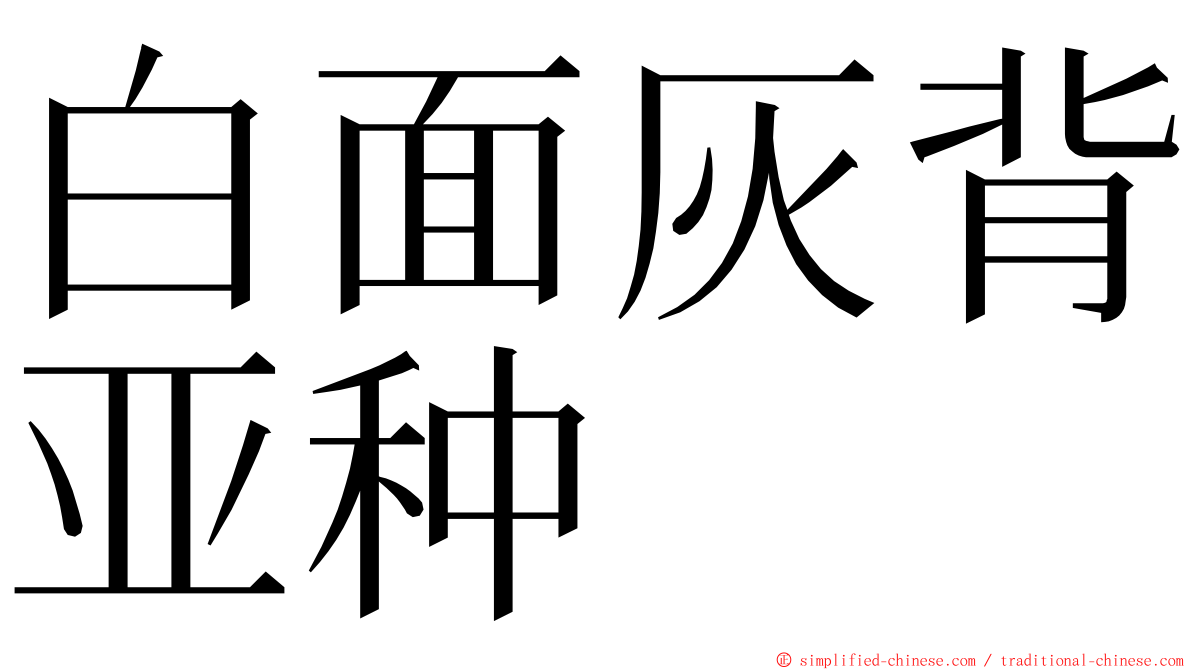 白面灰背亚种 ming font