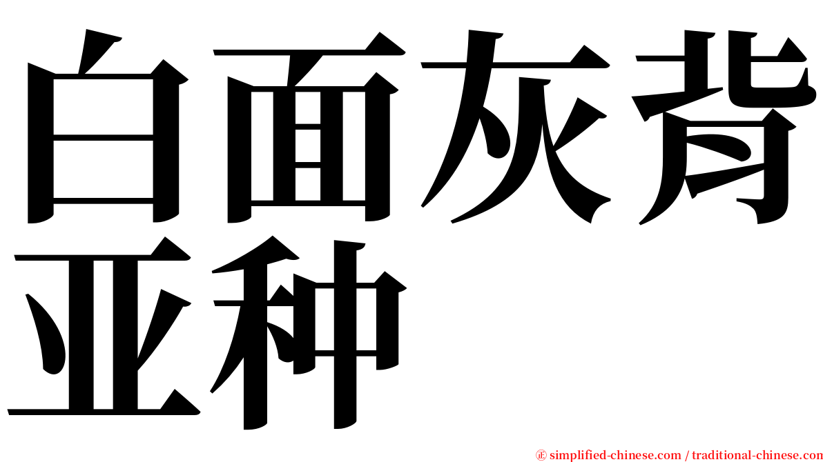 白面灰背亚种 serif font