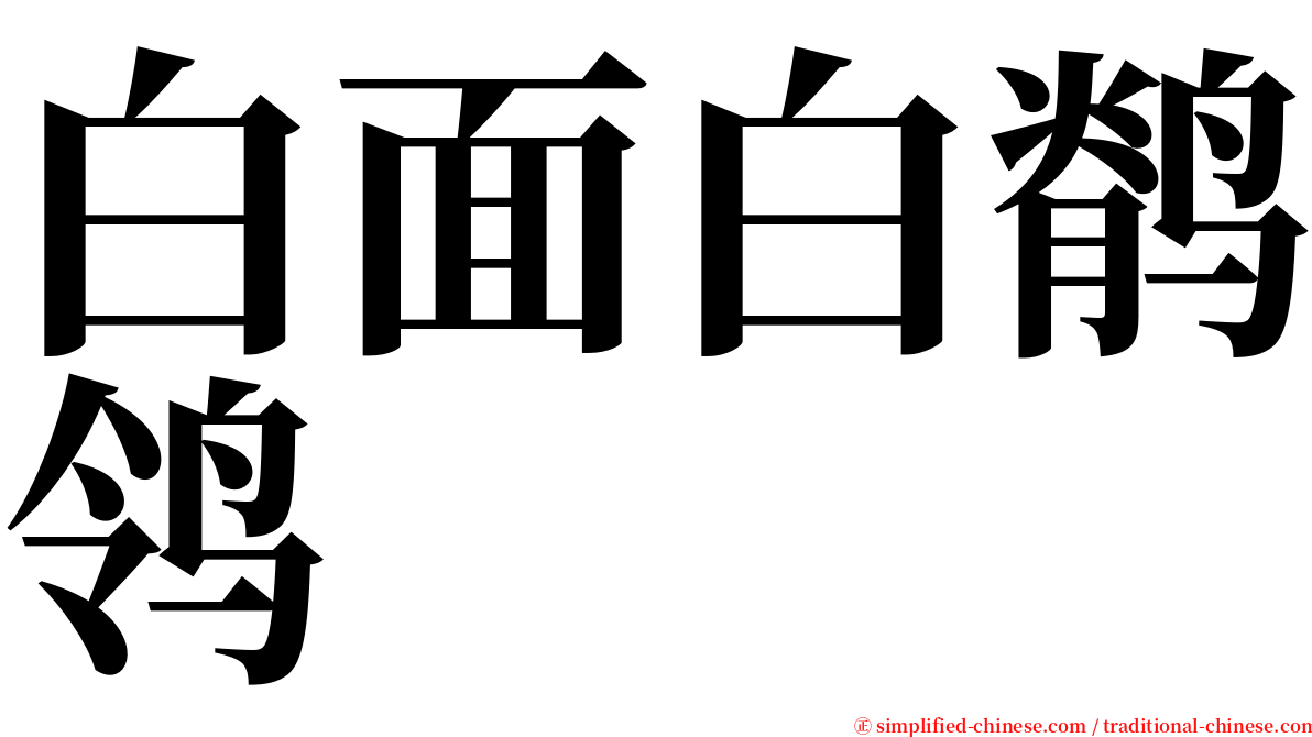 白面白鹡鸰 serif font