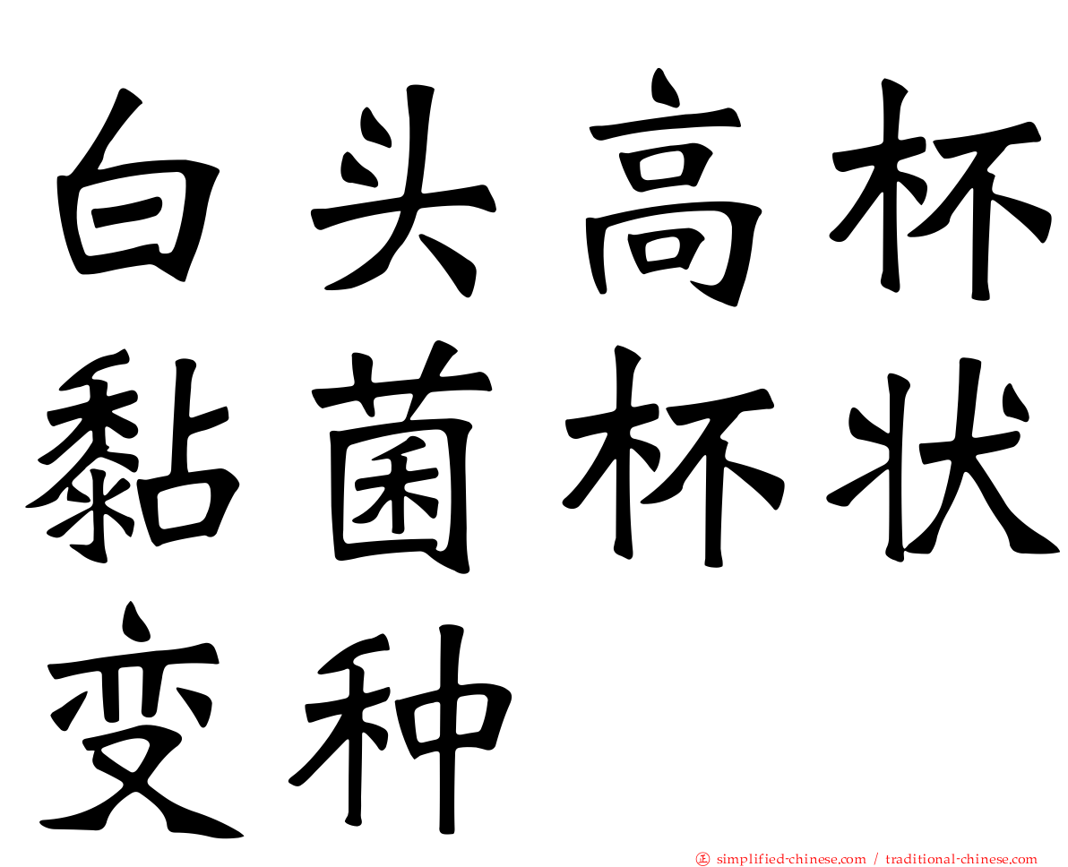 白头高杯黏菌杯状变种