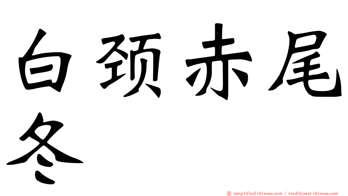 白颈赤尾冬