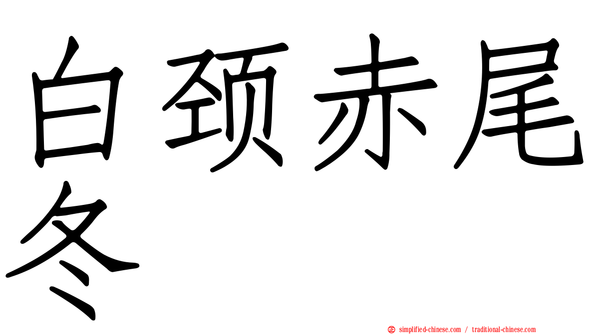 白颈赤尾冬