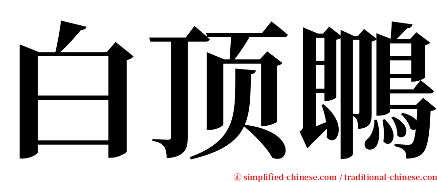 白顶䳭 serif font