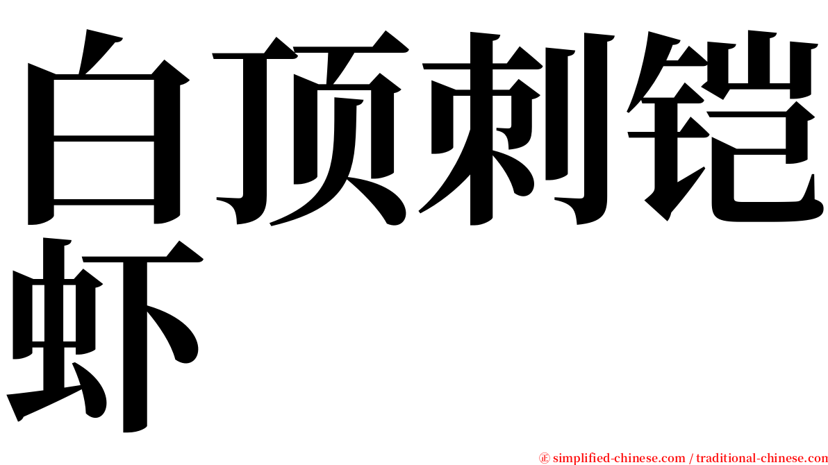 白顶刺铠虾 serif font