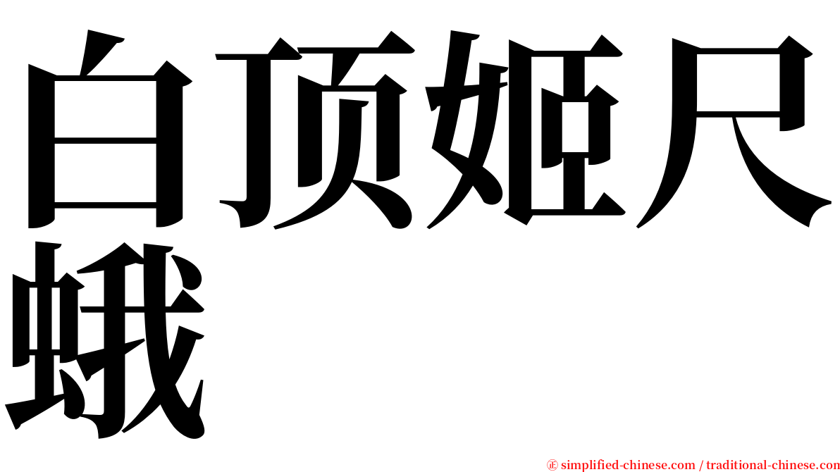 白顶姬尺蛾 serif font