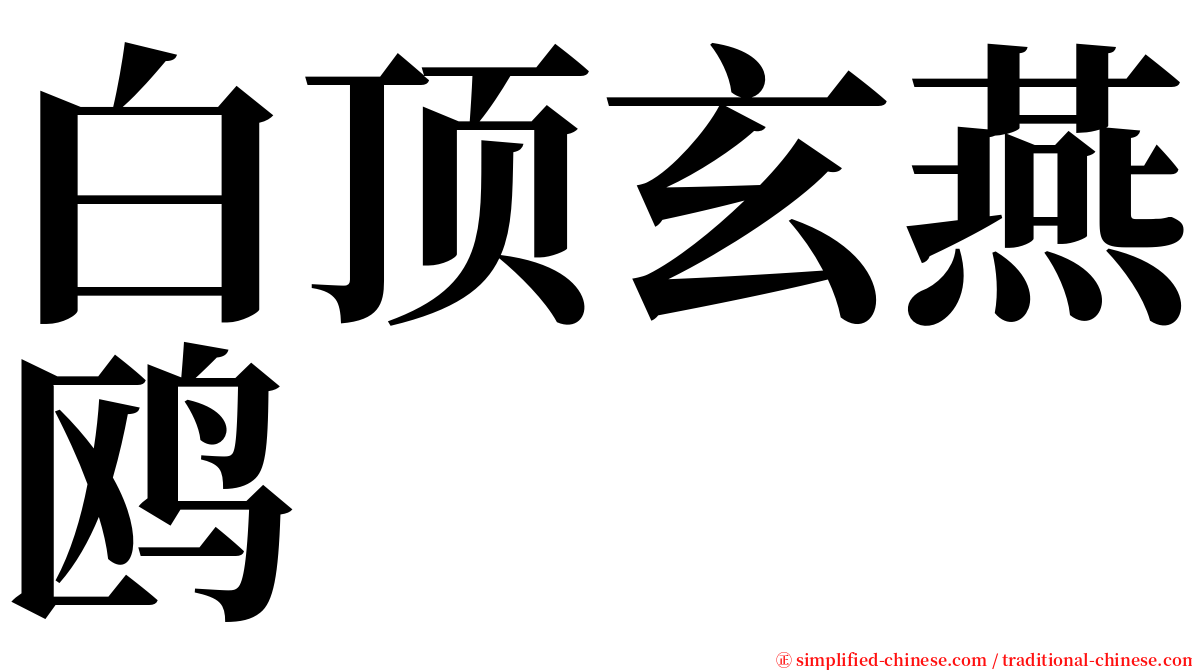 白顶玄燕鸥 serif font