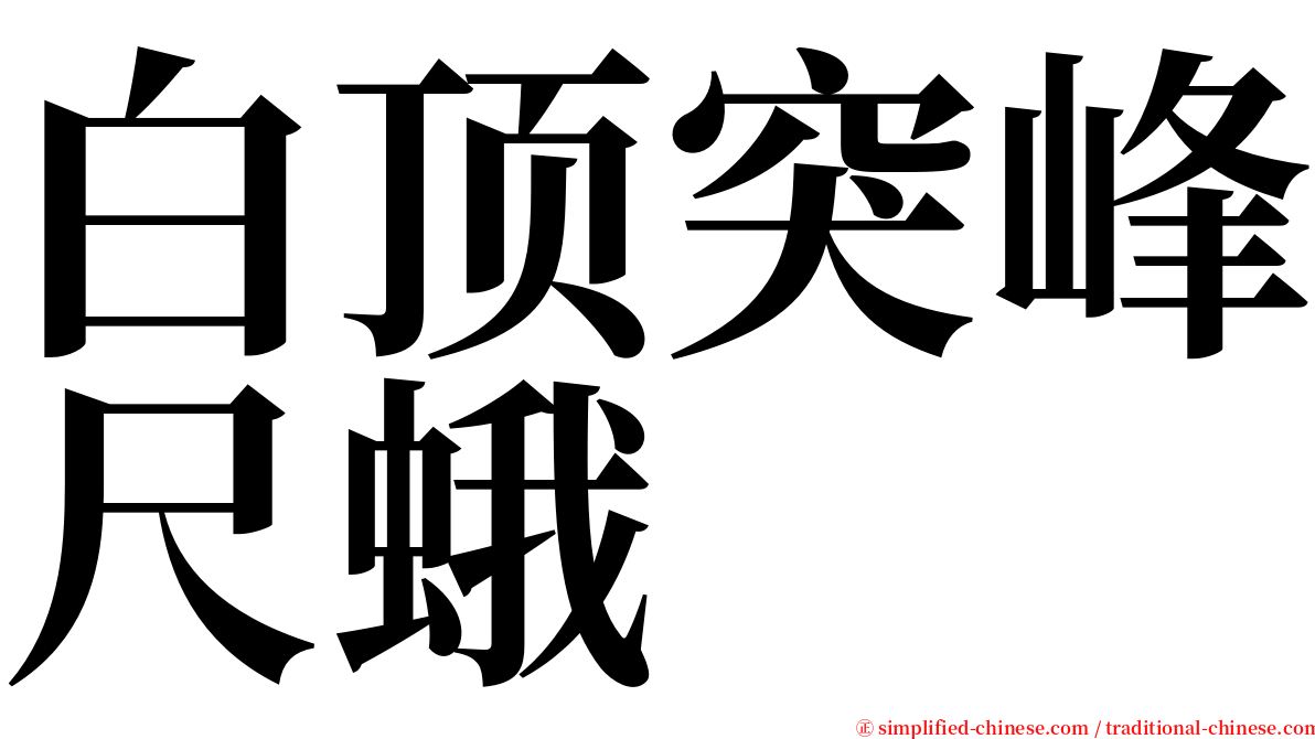 白顶突峰尺蛾 serif font