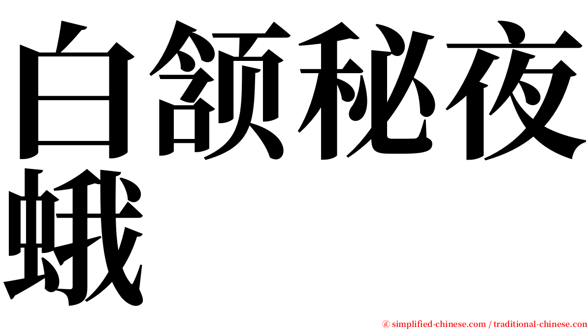 白颔秘夜蛾 serif font