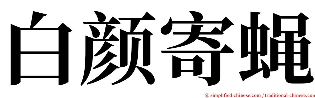 白颜寄蝇 serif font