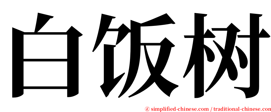 白饭树 serif font