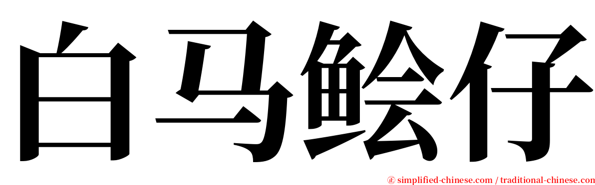 白马鲙仔 serif font