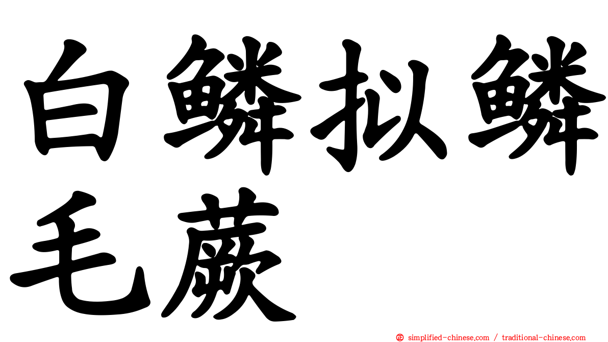 白鳞拟鳞毛蕨