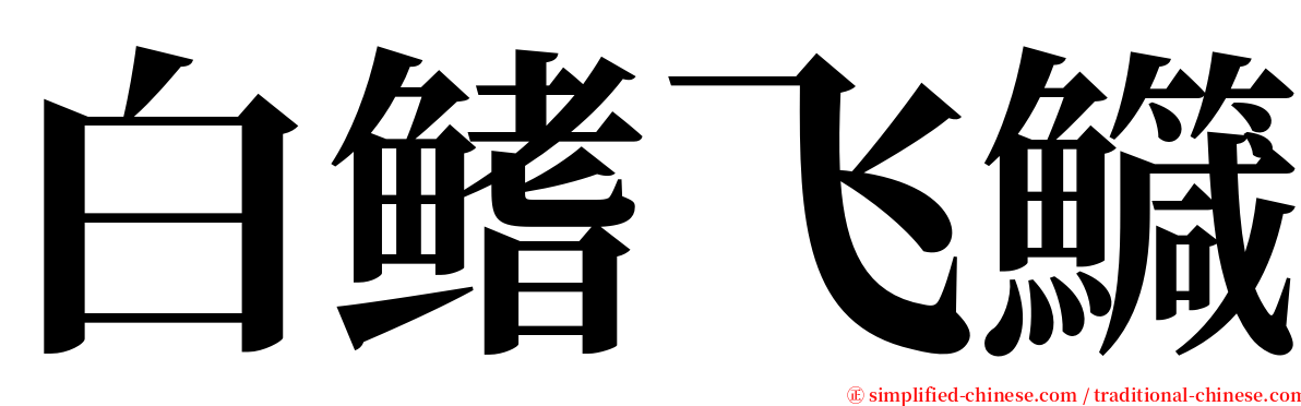 白鳍飞鱵 serif font