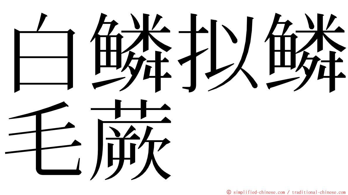 白鳞拟鳞毛蕨 ming font