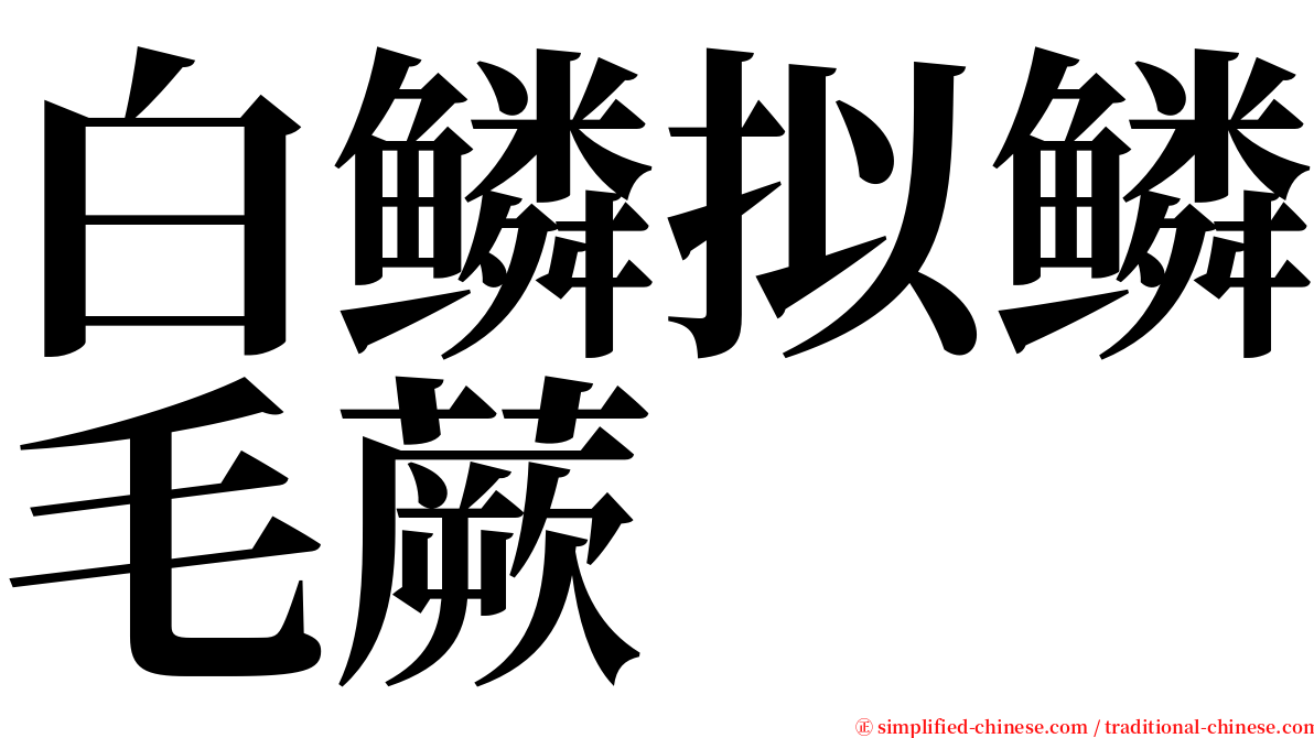 白鳞拟鳞毛蕨 serif font