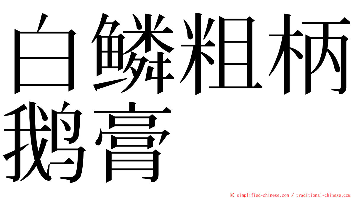 白鳞粗柄鹅膏 ming font