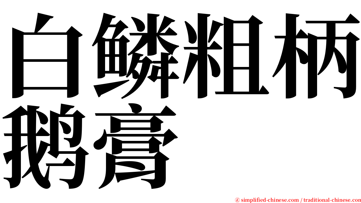 白鳞粗柄鹅膏 serif font