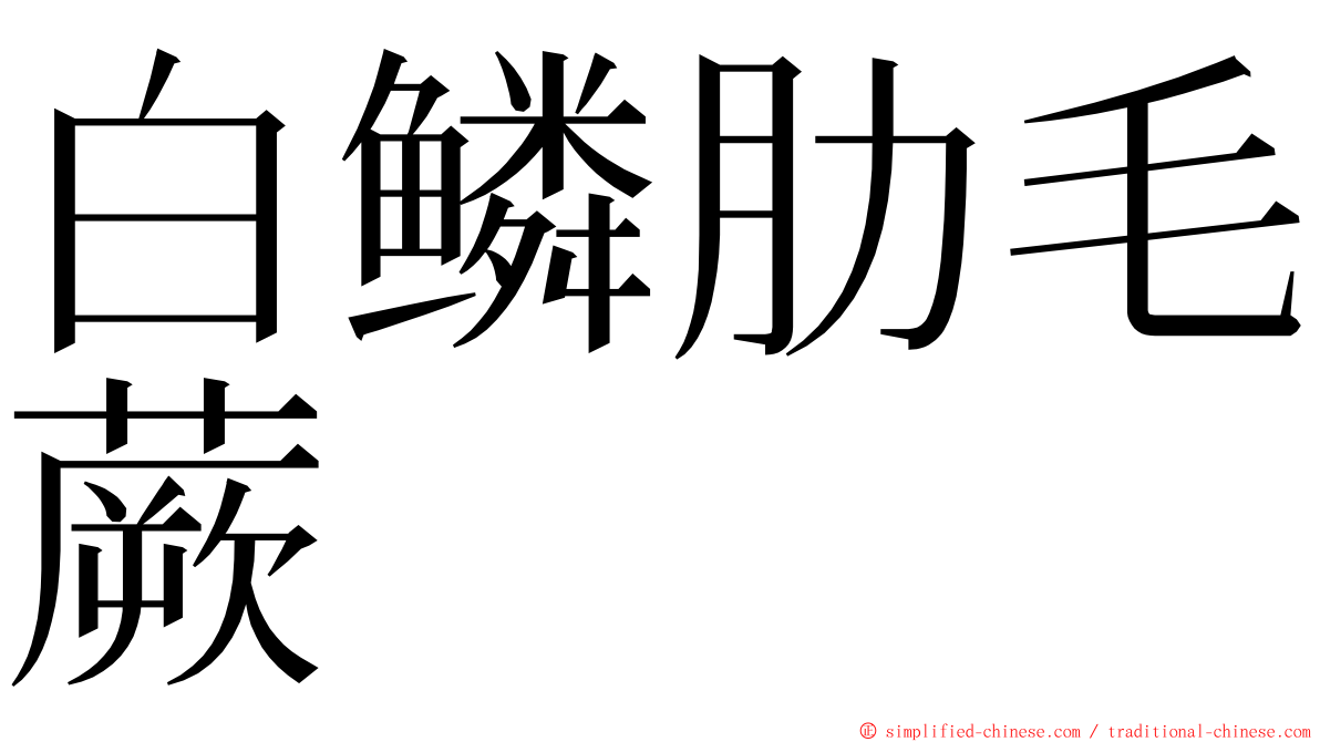 白鳞肋毛蕨 ming font