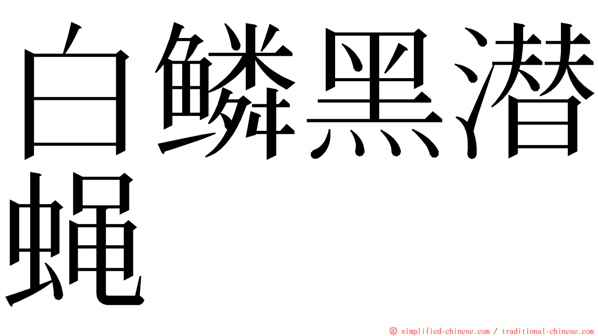白鳞黑潜蝇 ming font