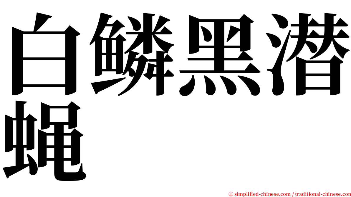 白鳞黑潜蝇 serif font