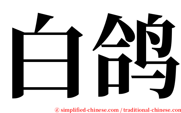 白鸽 serif font