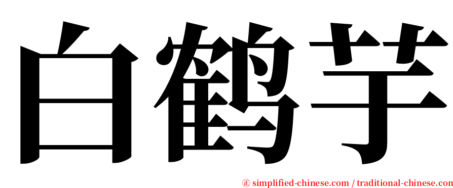 白鹤芋 serif font