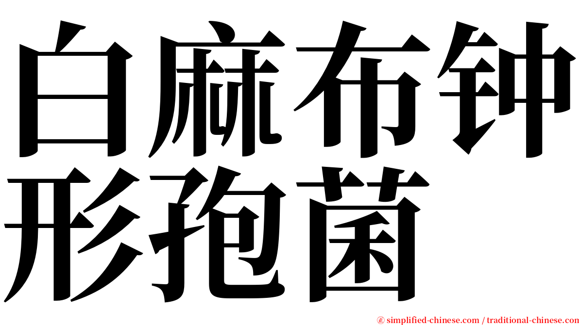 白麻布钟形孢菌 serif font