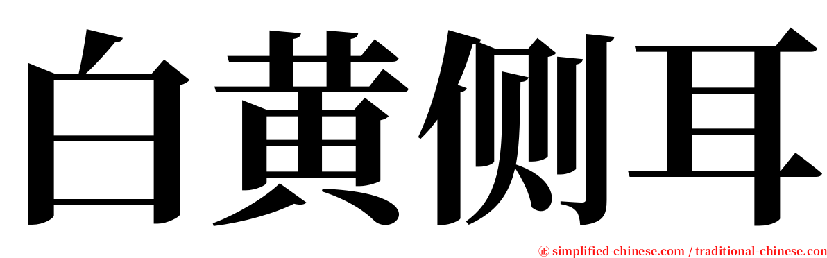 白黄侧耳 serif font